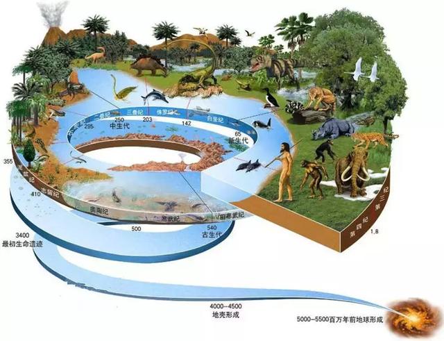 化石的条件(化石形成需要多少年)