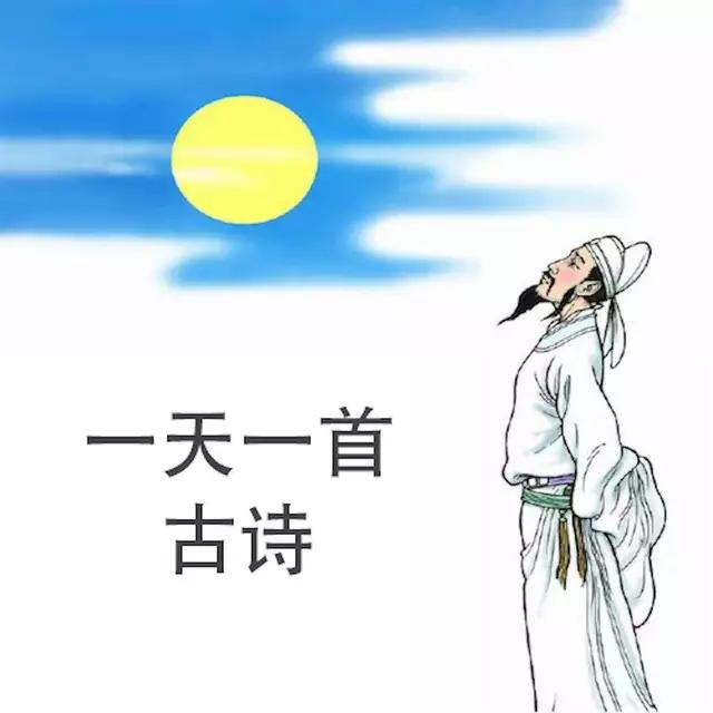 春晓什么意思(春晓的诗意思是什么)