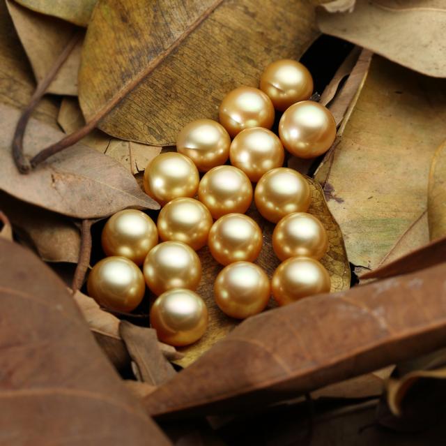 金珠多少钱金珠多少钱一颗