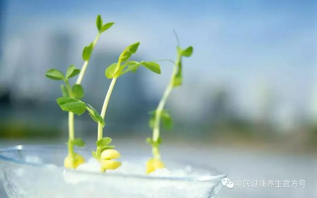 北京中医药大学郝万山教授推荐的8句话，读一读，受用无穷