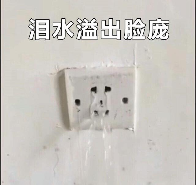 原来大家单身的理由都这么粗暴，还敢说你们没人要？
