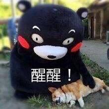原来大家单身的理由都这么粗暴，还敢说你们没人要？