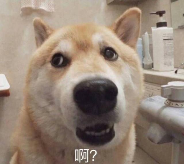 原来大家单身的理由都这么粗暴，还敢说你们没人要？