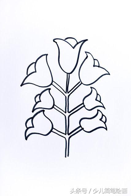 十二种花的简笔画