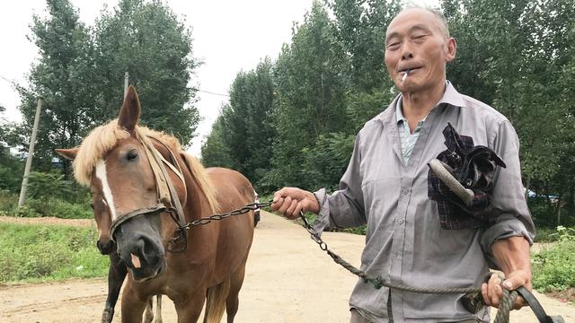 怀集冷坑镇高铁站_高冷英文_冷荣泉弟弟冷高荣照片