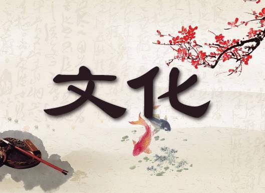 文化什么意思文化的定义是什么