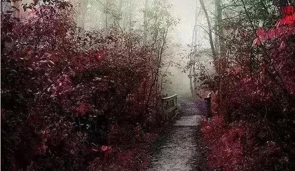 为什么学校一般都建在坟场或者刑场？有这4个原因