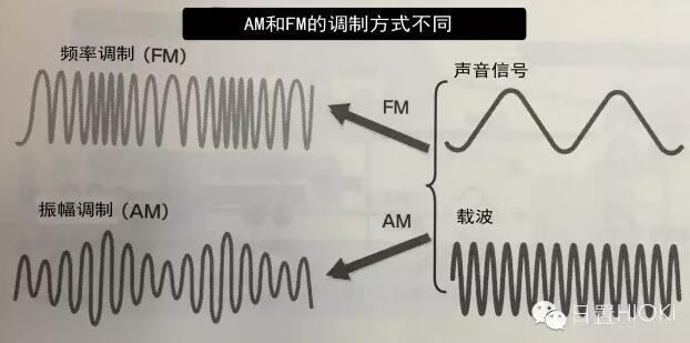 fm什么意思(网络上fm是什么意思)