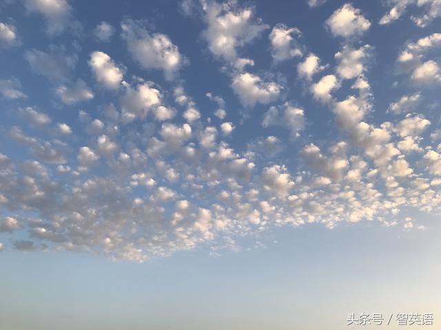 东边用英语怎么说(东边用英语怎么写)