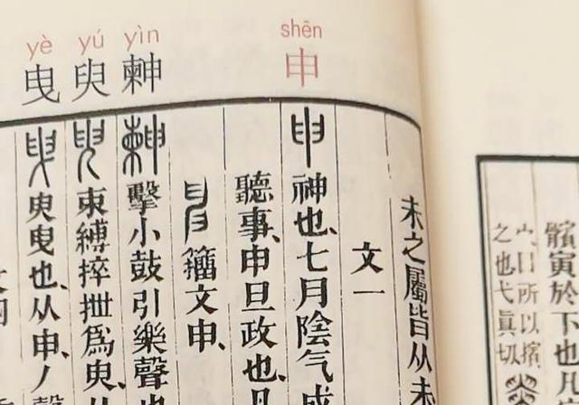 申是什麼意思(取名申字的含義)