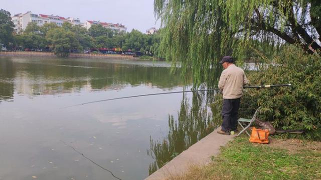 鱼竿种类有哪些 台钓用哪一种鱼竿好 爱游钓鱼网