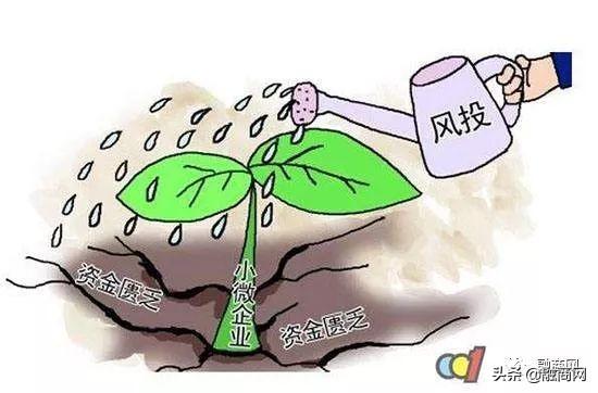 风投什么意思(风投融资是什么意思)