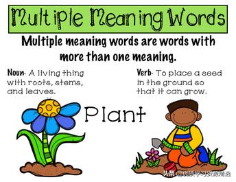 chest是什么意思(chest day什么意思)