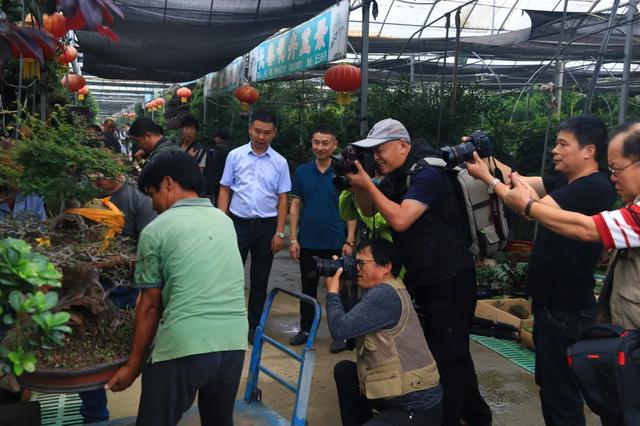 天下摄影家齐聚沭阳国际花木城