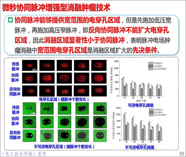前沿技术报告｜重庆大学姚陈果教授：高压超短脉冲技术及应用