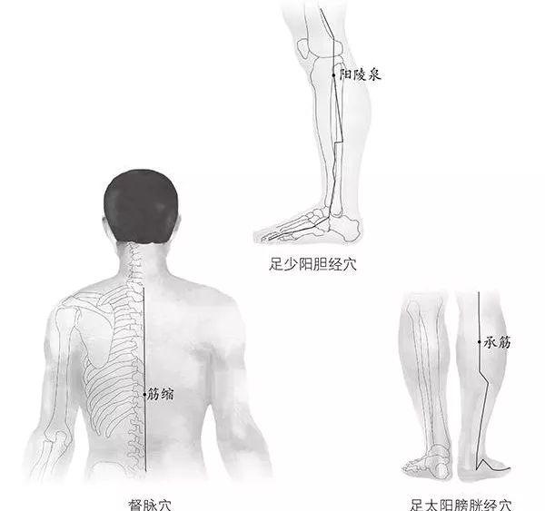 脾气越暴的人，这根筋就越硬