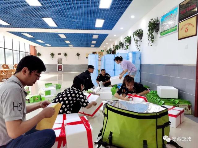 合肥专业融合助力大圩葡萄进城