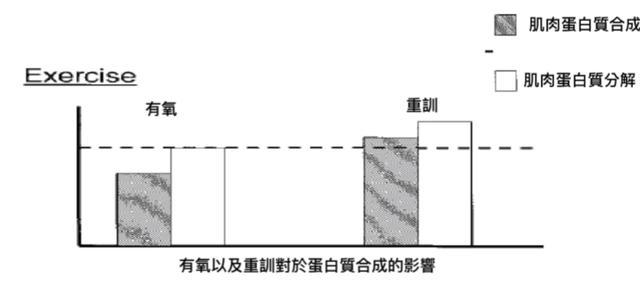 為什麼有氧運動，不可以過量？告訴你幾個原因