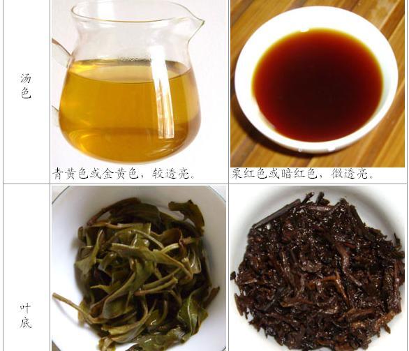 生普洱茶和熟普洱茶有什么区别和喝了对身体有什么好处？