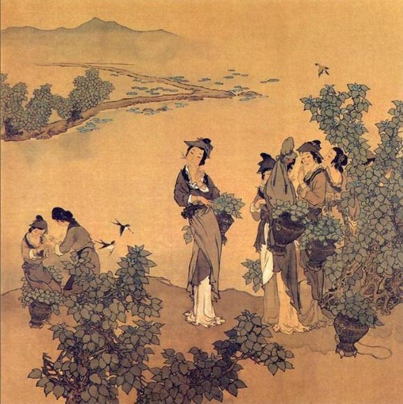 采桑什么意思采桑的解释