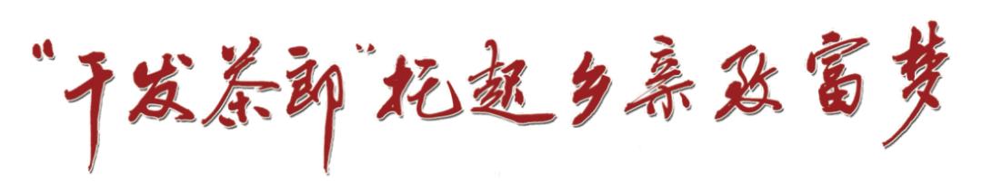 张远翔：“干发茶郎”托起乡亲致富梦