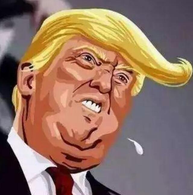 特朗普到底是一个怎样的总统