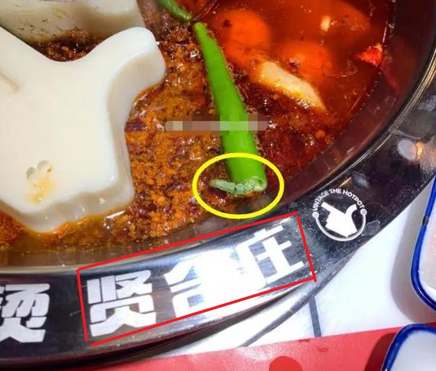 明星火锅店有多牛？网友在陈赫“贤合庄”吃出虫子，你怎么看呢？