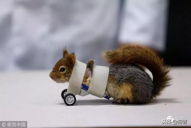 路透社公布2018年度图片，INS上点赞最多的照片有哪些？