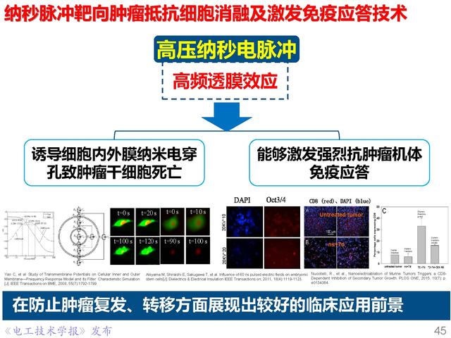 前沿技術(shù)報告｜重慶大學(xué)姚陳果教授：高壓超短脈沖技術(shù)及應(yīng)用