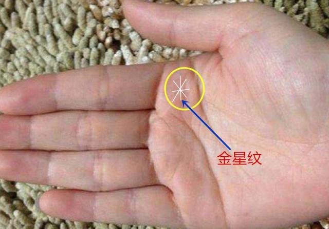 金星什么意思(金星有什么寓意)