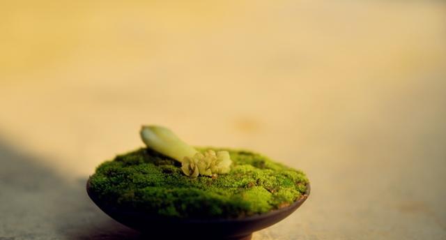 厚臉皮，是一個人最了不起的才華（深度）