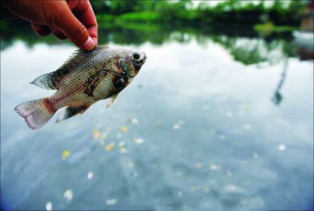 含油廢水的危害，雙尼環境4大處理方法