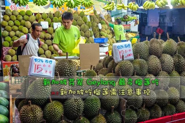 去新加坡自由行,在芽笼榴莲一条街除了买榴莲,还有哪些水果值得买呢