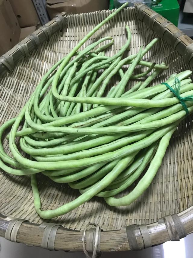 什么时候种秋豆角(秋豆角什么时候种植)