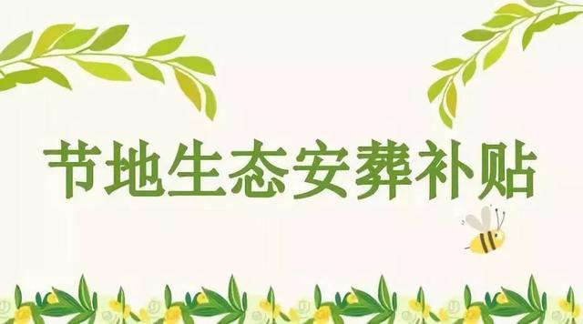 树葬海葬生态葬 绿树大海思故人-慧殡葬-殡葬人的app