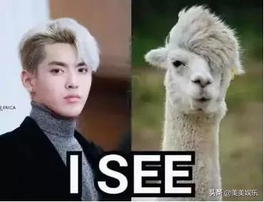 在线自夸？学员撞脸导师霸占热搜，他们竟这么