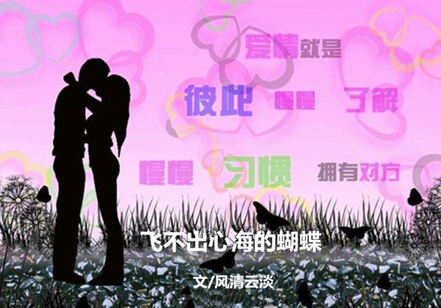 飞不出心海的蝴蝶