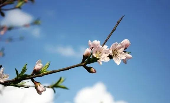 倪海厦：我们要如何面对疾病？