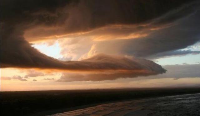 �ƶ������