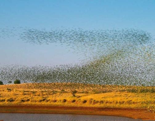 新的危机已经来了！比新冠疫情还要严重，上千万人面临生存考验