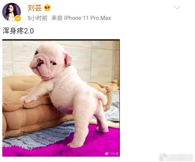 30+女团录制节目嫌太累，直接发脾气取消团采，