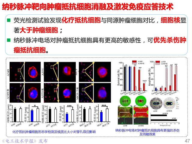 前沿技术报告｜重庆大学姚陈果教授：高压超短脉冲技术及应用