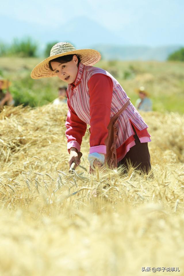 她因演《上错花轿嫁对郎》错过和赵宝刚合作，客串《安家》却圈粉