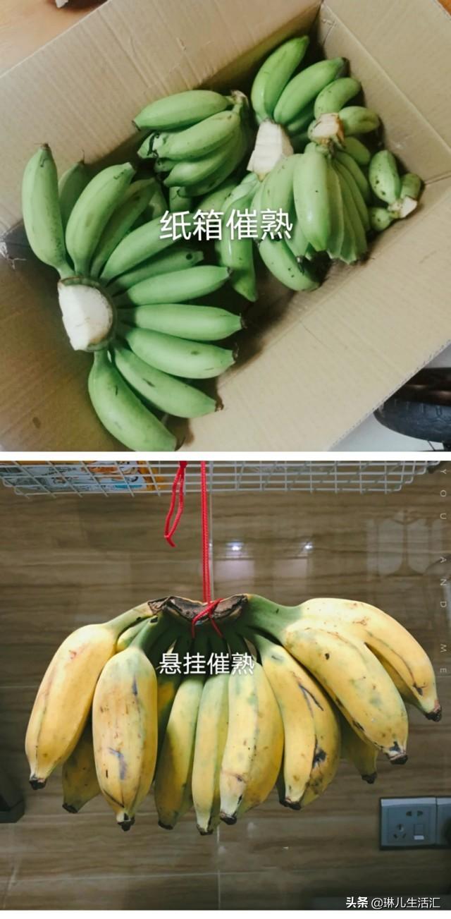 爱吃香蕉，你了解它们的品种吗？附赠最美味的吃法
