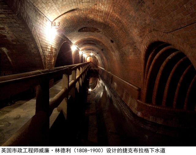 市民排泄的粪便哪里去了？