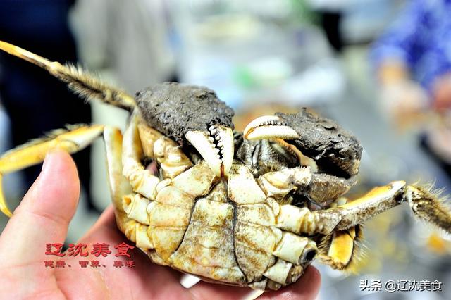 吃螃蟹要防寒，四个不能吃的部位，知道在哪里吗？