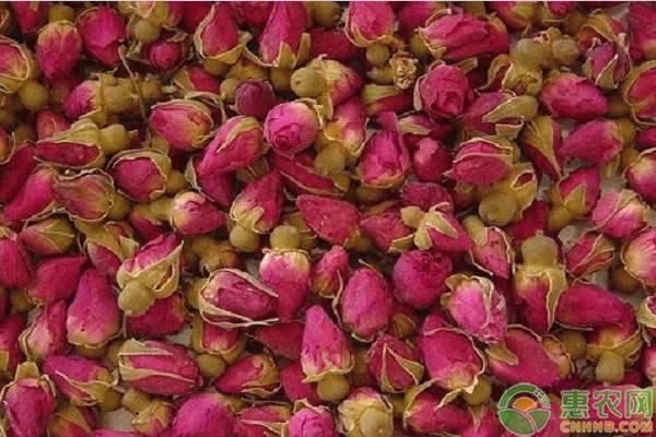 参花茶价格 参花消渴茶被曝光 茶百科