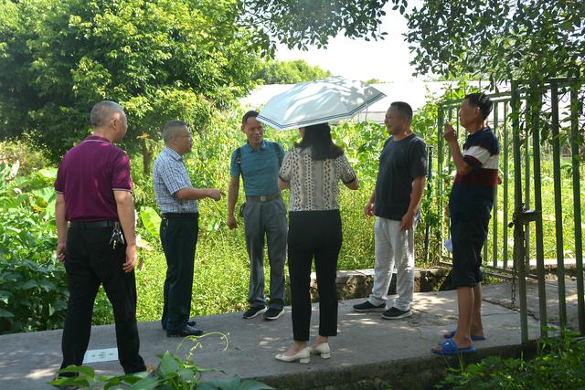 知联会|涪陵知联会农业分会走进康丰火龙果基地、展禾农业公司开展调研活动
