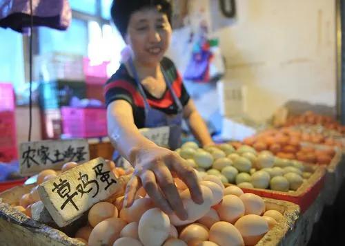 鸡蛋价格又创新低，专家发出提醒