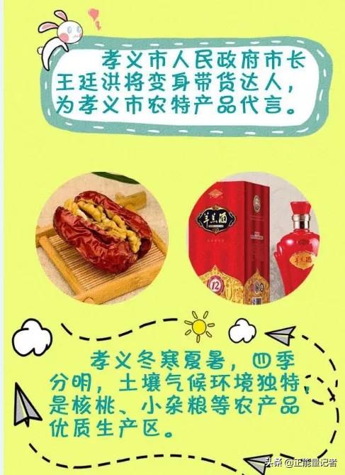 吕梁十三县（市、区）长化身网络主播直播带货